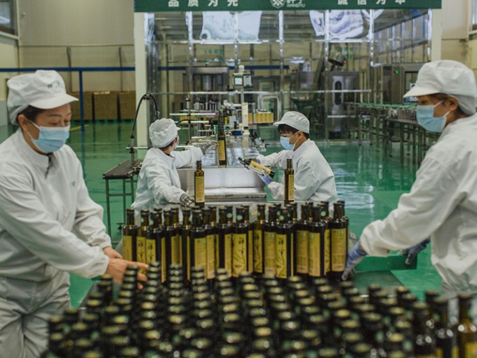 大家都知道，每一滴醇香的祥宇莊園橄欖油，都源自一顆顆小小的油橄欖果實。今天，就讓..